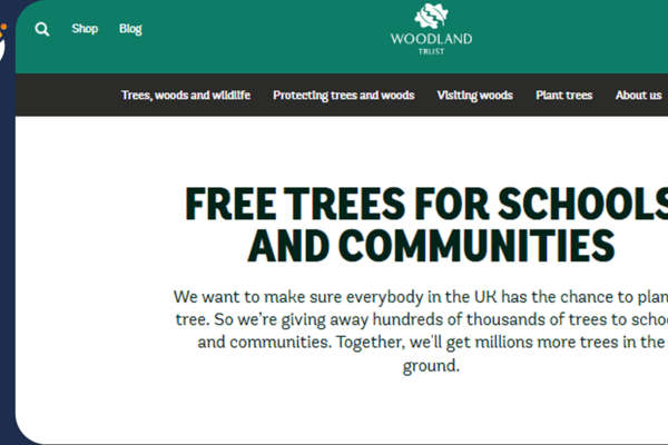 Image of Free Trees for Schools